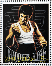 bruce lee web