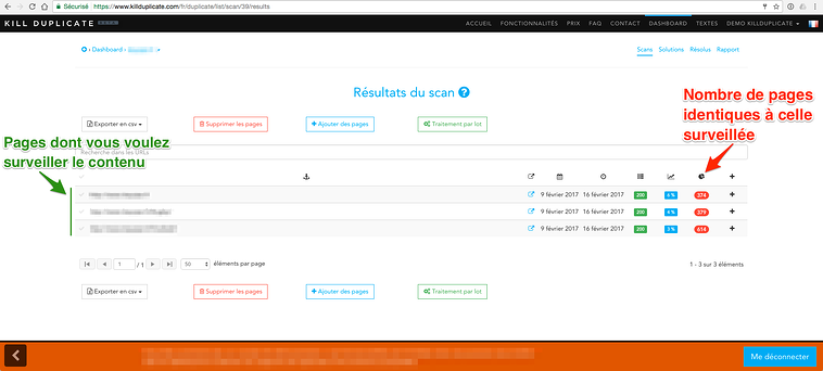 Exemple de résultats de contenu dupliqué avec Kill Duplicate 